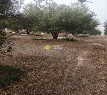 Residential 2500m<sup>2</sup> for sale photo 3943192
