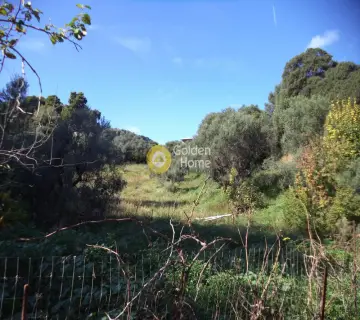 Parcel 10800m<sup>2</sup> for sale photo 3942715