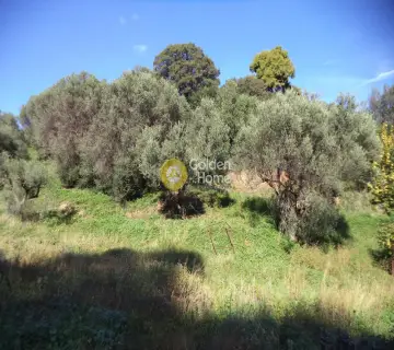 Parcel 10800m<sup>2</sup> for sale photo 3942719