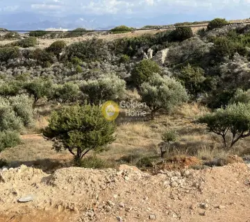 House 300m<sup>2</sup> for sale photo 10