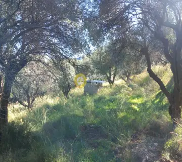 Parcel 8000m<sup>2</sup> for sale photo 3944706
