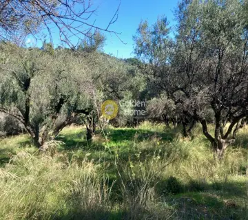 Parcel 8000m<sup>2</sup> for sale photo 3944707
