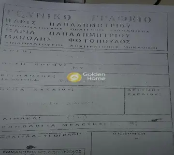 Μεζονέτα Ανεξάρτητη 100τ.μ. προς πώληση φωτογραφία 3946114