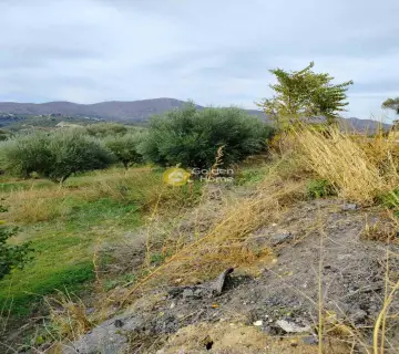 Residential 1255m<sup>2</sup> for sale photo 2