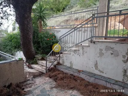 Μονοκατοικία 305τ.μ. προς πώληση φωτογραφία 7