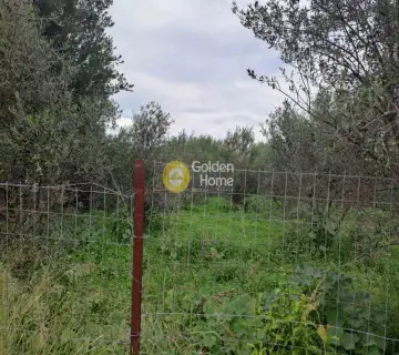 住宅 725m<sup>2</sup> for sale photo 3949547