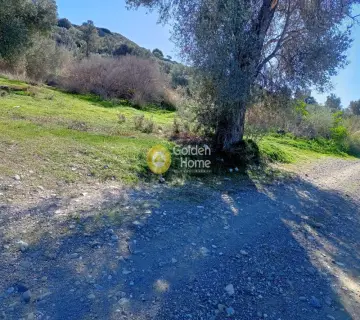 Parcel 1500m<sup>2</sup> for sale photo 3969926