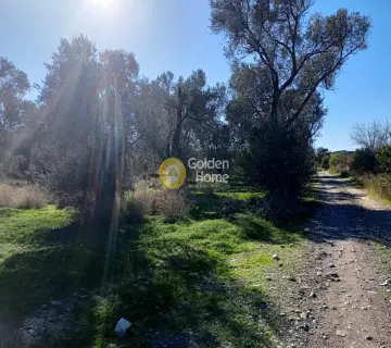 Parcel 1500m<sup>2</sup> for sale photo 3969935