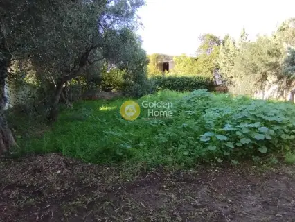 Professional Plot 1450m<sup>2</sup> for sale photo 5