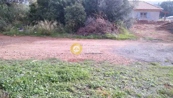 Residential 580m<sup>2</sup> for sale photo 5