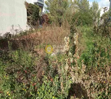 Residential 325m<sup>2</sup> for sale photo 3
