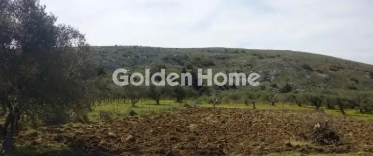 Επαγγελ. Οικόπεδο 1373τ.μ. προς πώληση φωτογραφία 5320368