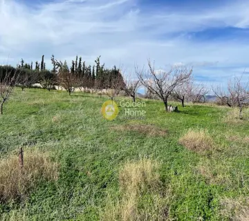 Οικιστικό 3176τ.μ. προς πώληση φωτογραφία 2