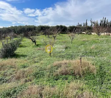 Οικιστικό 3176τ.μ. προς πώληση φωτογραφία 3