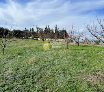 Οικιστικό 3176τ.μ. προς πώληση φωτογραφία 11