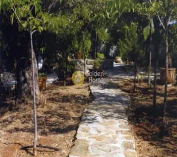 Μονοκατοικία 193τ.μ. προς πώληση φωτογραφία 21