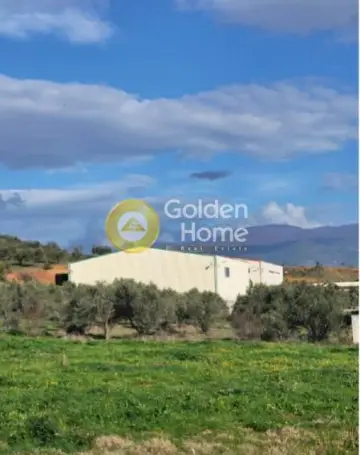 Golden Home Property Image