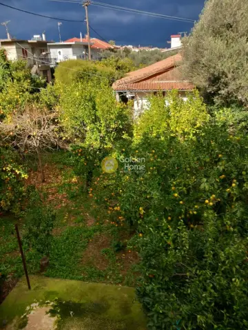 House 260m<sup>2</sup> for sale photo 3975559