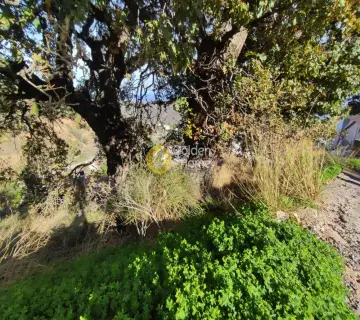 Residential 250m<sup>2</sup> for sale photo 2