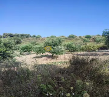 Residential 4600m<sup>2</sup> for sale photo 1
