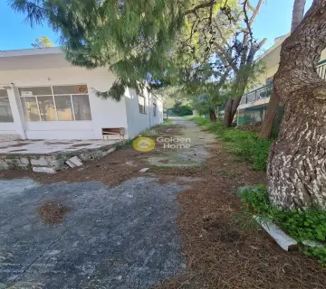 Residence complex 270m<sup>2</sup> for sale photo 3976350