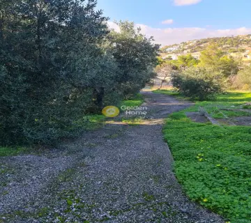 Residence complex 270m<sup>2</sup> for sale photo 3976356