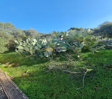 Residence complex 270m<sup>2</sup> for sale photo 3976358
