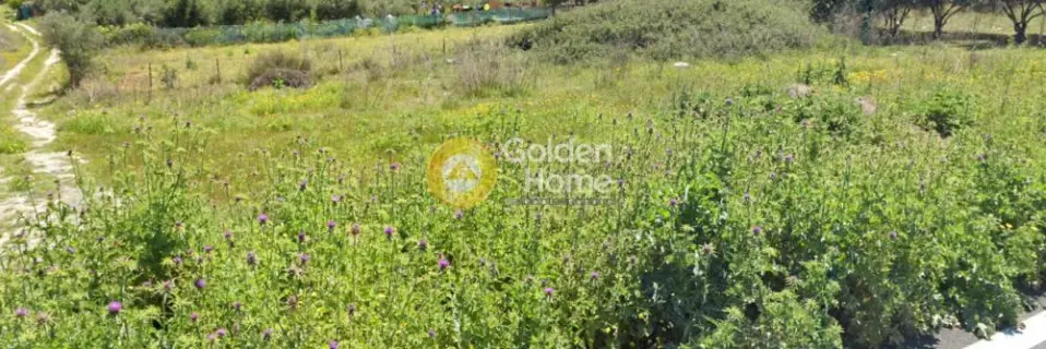 Professional Plot 850m<sup>2</sup> for sale photo 3976878