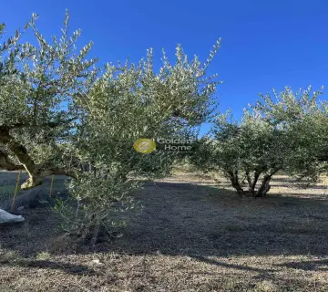 Residential 422m<sup>2</sup> for sale photo 3983908