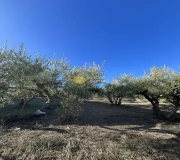 Residential 422m<sup>2</sup> for sale photo 3983908