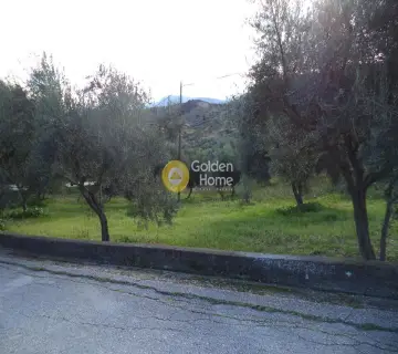 Parcel 5590m<sup>2</sup> for sale photo 5