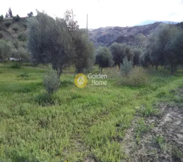 Parcel 5590m<sup>2</sup> for sale photo 4