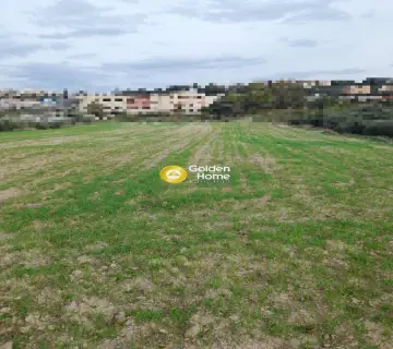 Professional Plot 1200m<sup>2</sup> for sale photo 2
