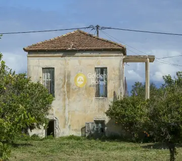 Golden Home Property Image