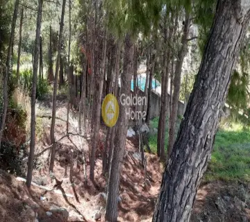 Golden Home Property Image