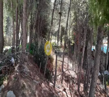 Οικιστικό 503τ.μ. προς πώληση φωτογραφία 4