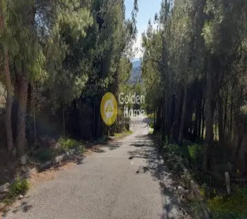 Οικιστικό 503τ.μ. προς πώληση φωτογραφία 9