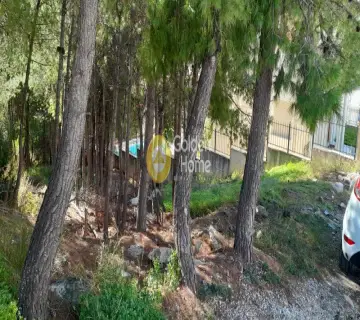 Οικιστικό 503τ.μ. προς πώληση φωτογραφία 8