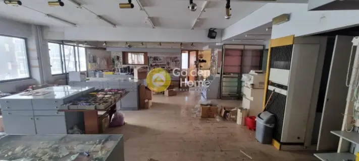 Βιομηχανικός - Βιοτεχνικός Χώρος 303τ.μ. προς πώληση φωτογραφία 8