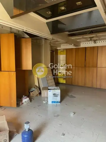 Βιομηχανικός - Βιοτεχνικός Χώρος 303τ.μ. προς πώληση φωτογραφία 23