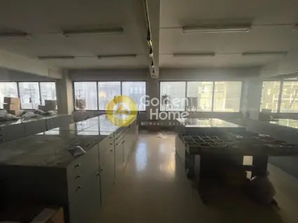 Βιομηχανικός - Βιοτεχνικός Χώρος 303τ.μ. προς πώληση φωτογραφία 32