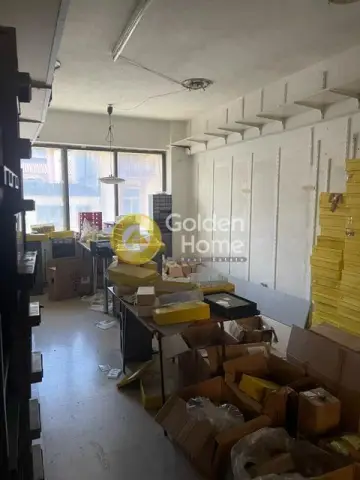 Βιομηχανικός - Βιοτεχνικός Χώρος 303τ.μ. προς πώληση φωτογραφία 29