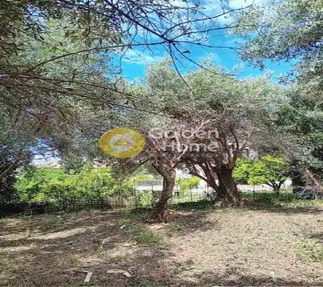 Residential 520m<sup>2</sup> for sale photo 4636796