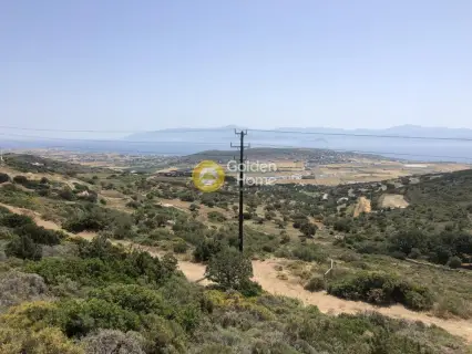 Parcel 21000m<sup>2</sup> for sale photo 11