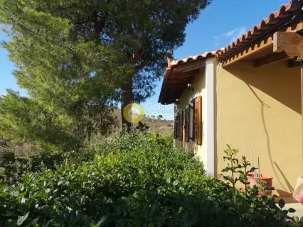 Μονοκατοικία 55τ.μ. προς πώληση φωτογραφία 15