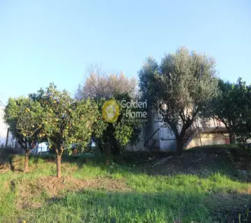 Golden Home Property Image