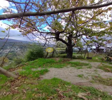 住宅 1389m<sup>2</sup> for sale photo 5