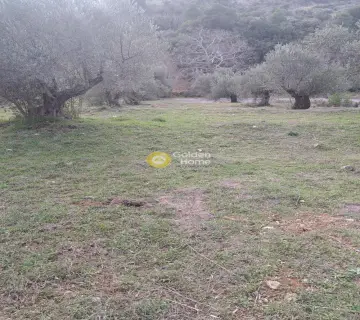 Οικιστικό 1000τ.μ. προς πώληση φωτογραφία 4005121