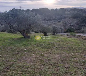Οικιστικό 1000τ.μ. προς πώληση φωτογραφία 4005122