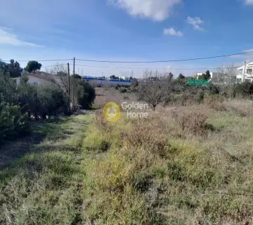 Residential 1200m<sup>2</sup> for sale photo 3